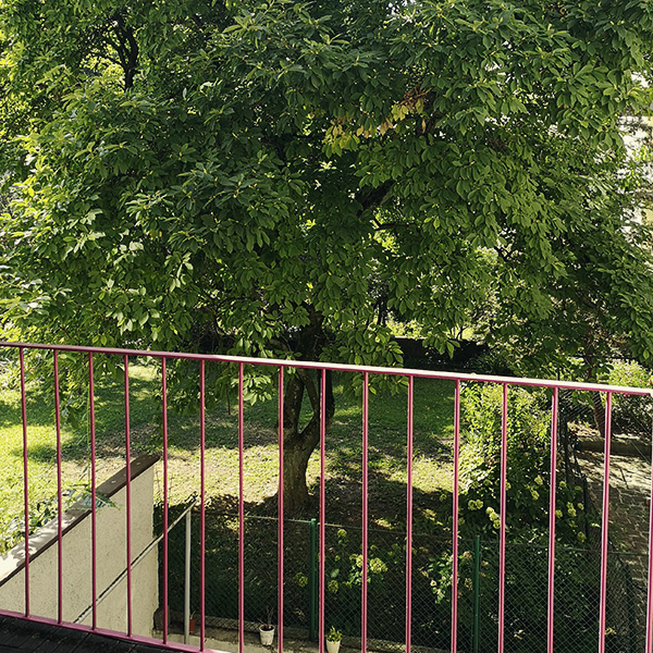 Ausblick